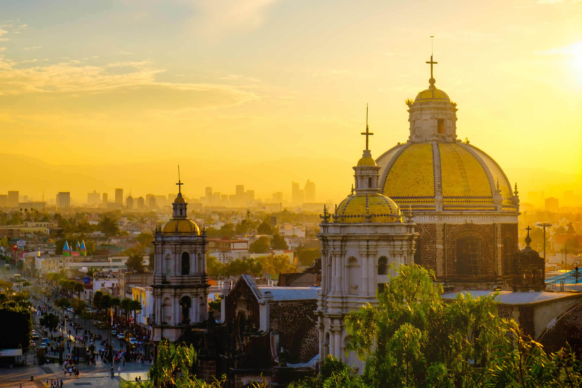 Featured image for “Mexico City – Internship (6 Months)”